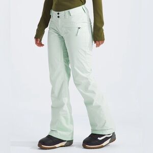 North Face W Freedom Ski Pant MED Reg NWT